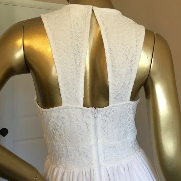 FRANCESCA'S Lace and Chiffon Skater Dress - Picture 7 of 10